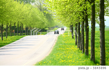 spring road 3843896