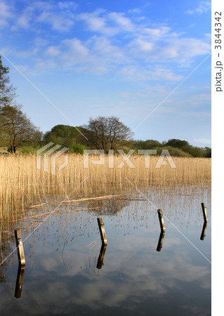 lake lake 3844342