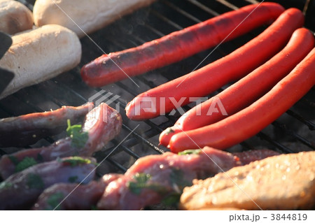 grill grill 3844819