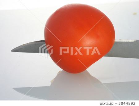 3844892