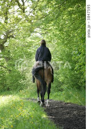 riding horses 3847595
