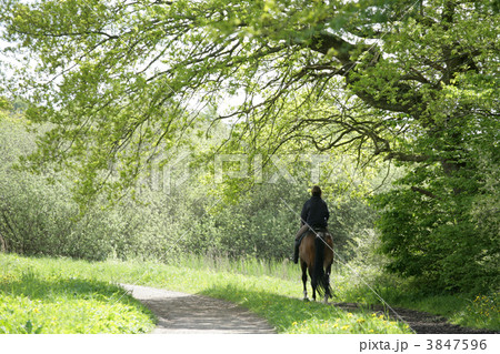 riding horses 3847596