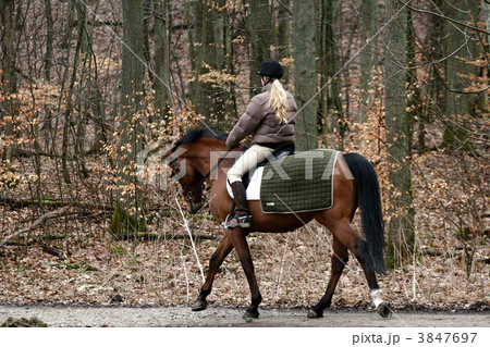 riding horses 3847697