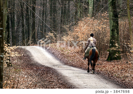 riding horses 3847698