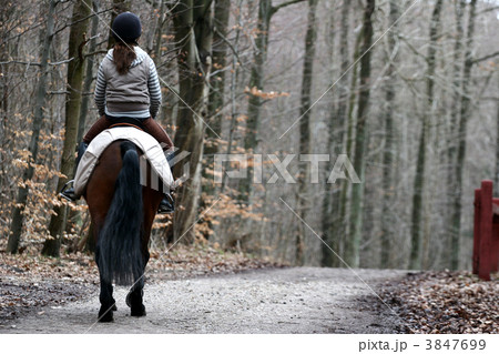 riding horses 3847699
