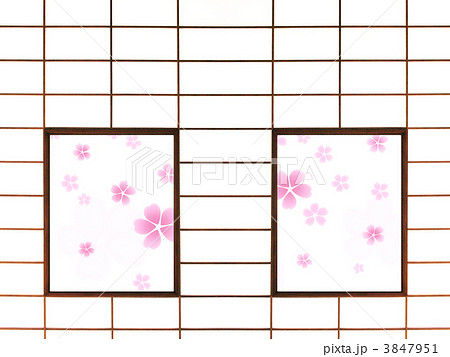 和室から見る桜 3847951