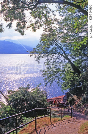 マジョーレ湖の遊歩道 3849466