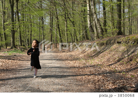 Autumn forest Autumn forest 3850068