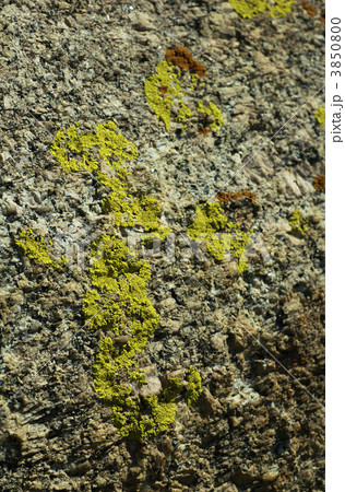 stone stone 3850800