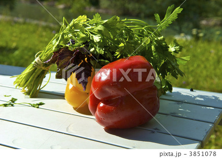 Sweet peper 3851078
