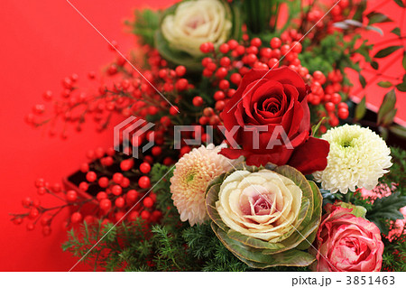 正月 正月 3851463