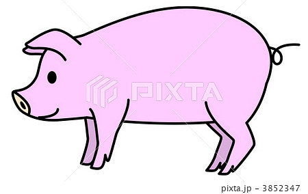 豚のイラスト素材
