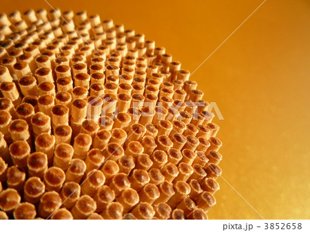 爪楊枝 爪楊枝 3852658