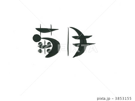 菊月 菊月 3853155