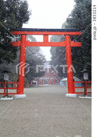 雪の下鴨神社 3853214