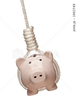 Piggy Bank Hanging in Hangman's Noose on White 3862588