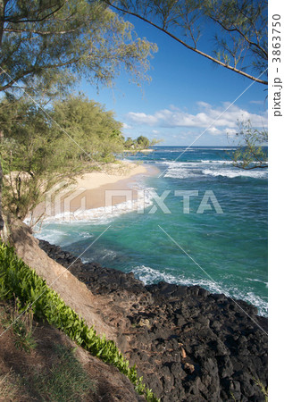 Tropical Shoreline Tropical Shoreline 3863750