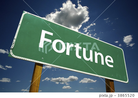Fortune Road Sign 3865520