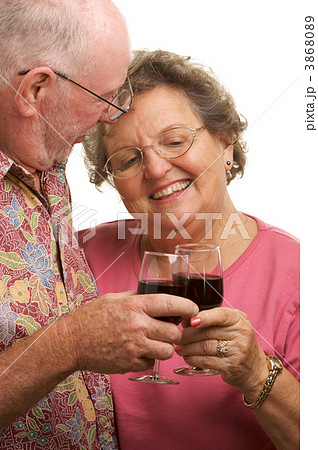 Happy Senior Couple Toasting Happy Senior Couple Toasting 3868089