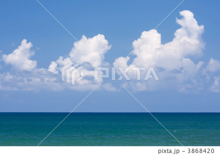 Tropical Shoreline 3868420