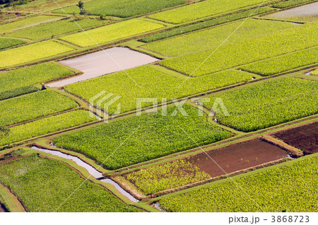 Hanalei Valley and Taro Fields 3868723