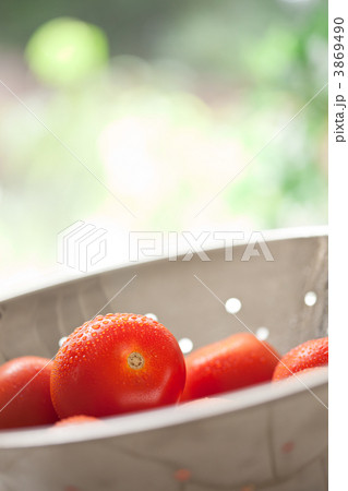 Fresh, Vibrant Roma Tomatoes in Colander with Water Drops Fresh, Vibrant Roma Tomatoes in Colander with Water Drops 3869490