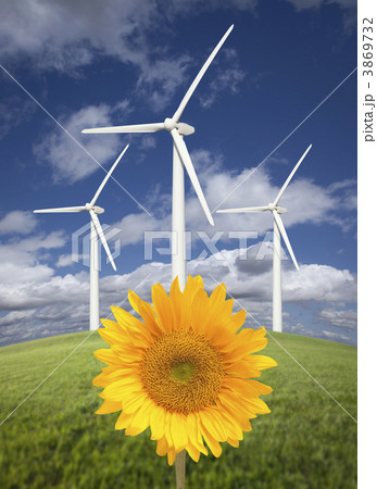 Wind Turbines Against Dramatic Sky with Bright Sunflower 3869732