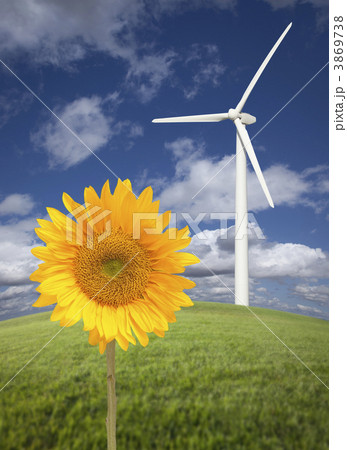 Wind Turbine Against Dramatic Sky with Bright Sunflower 3869738