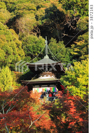 秋の京都永観堂の多宝塔 秋の京都永観堂の多宝塔 3872163
