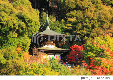 秋の京都永観堂の多宝塔 秋の京都永観堂の多宝塔 3872169