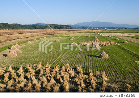 収穫後の田んぼと霧島連山 3873269