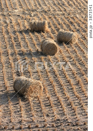 稲藁の牧草ロール 3873541