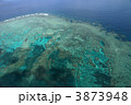 玉取崎の珊瑚礁を空撮 3873948