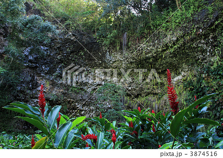 カウアイ島　シダの洞窟 3874516
