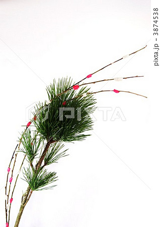 正月生け花・松に餅花縦位置 正月生け花・松に餅花縦位置 3874538