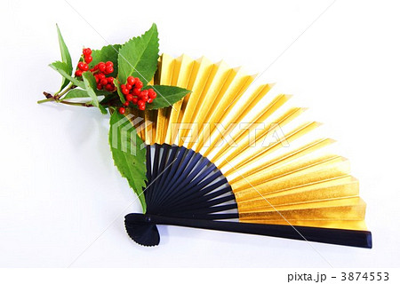 正月イメージ・金扇に千両横位値アップ 3874553