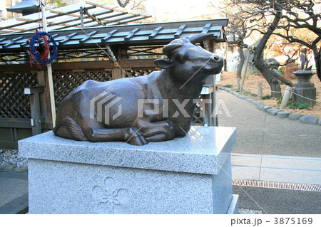 合格祈願の受験生で賑わう湯島天神を訪れて 3875169