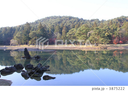 毛越寺の「大泉が池」 3875222