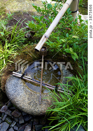 等持院の手水鉢 3875666