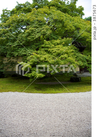 京都等持院 枯山水の簡素な庭 京都等持院 枯山水の簡素な庭 3875673