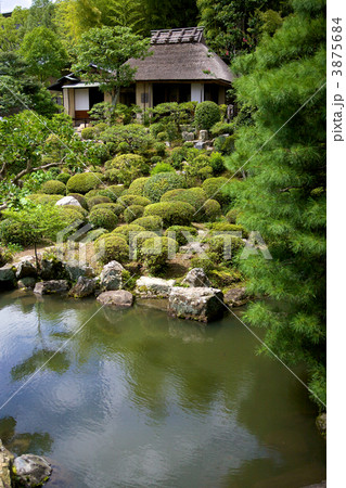 等持院の庭 3875684