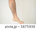 すね毛 3875936