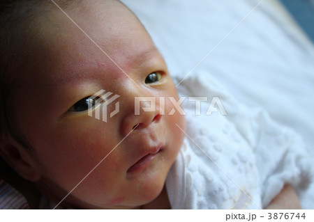 新生児 新生児 3876744