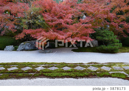 南禅寺天授庵、直打ちの飛石 3878173