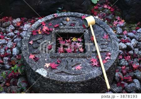 京都、金福寺の手水鉢 3878193
