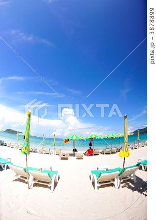 昼のパトンビーチ 3878899