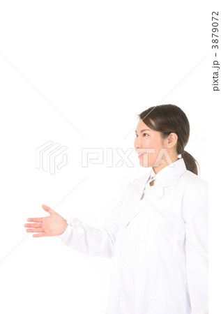 白衣 3879072