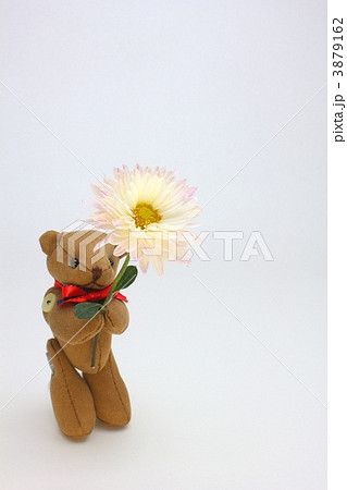 花 花 3879162