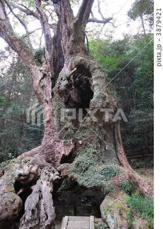 武雄神社 武雄神社 3879421