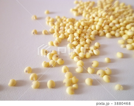 いなきび 3880468